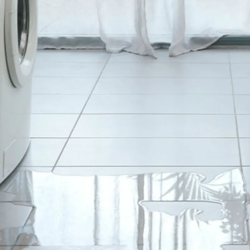 Appliance Leak Cleanup in Franklin, IN