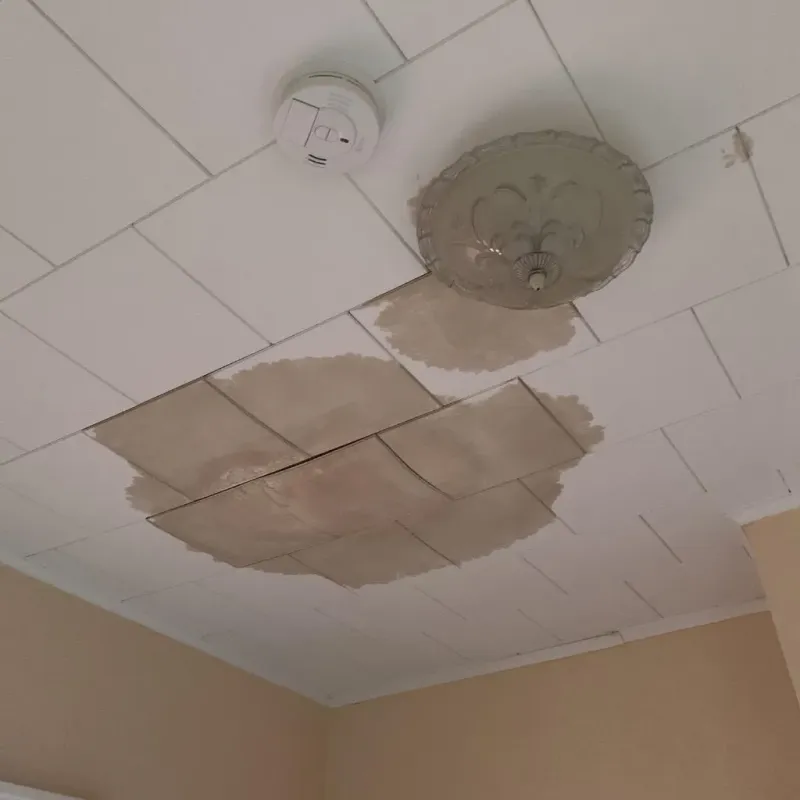 Ceiling Water Damage Repair in Franklin, IN