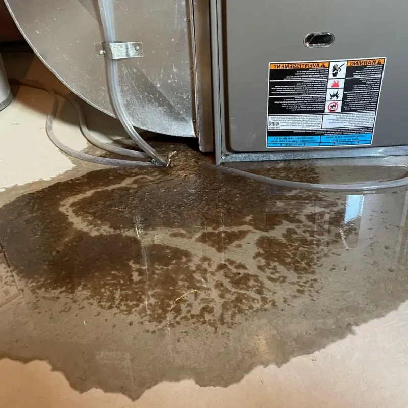Pipe Burst and Leak Restoration in Franklin, IN