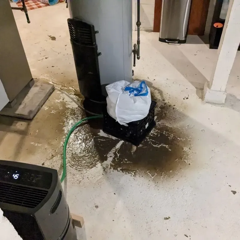 Sewage Backup Cleanup Service in Franklin, IN